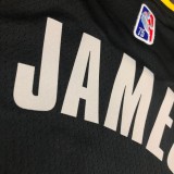 Los Angeles Lakers  Honor Edition #6 JAMES NBA Jerseys