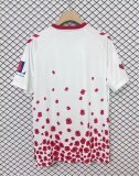 Sunderland Special Edition fans 1:1 Quality Soccer Jersey  24-25
