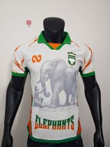 Ivory Coast Special Edition player  1:1 Quality Soccer Jersey   25-26