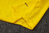 Dortmund  training  fans  1:1 Quality Soccer Jersey  24-25