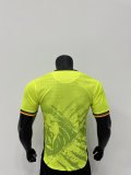 Cameroon Special Edition Player Green  1:1 Quality Soccer Jersey  25-26
