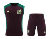 Mexico Training clothing Vest  set  1:1 Quality Soccer Jersey    24-25