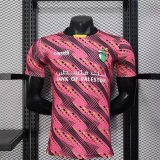 Palestine  Special Edition  Player 1:1 Quality Soccer Jersey  25-26
