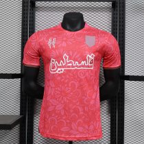 Palestine Special Edition  player 1:1 Quality Soccer Jersey  24-25