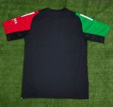 Arsenal  Special Edition  Fans 1:1 Quality Soccer Jersey    24-25