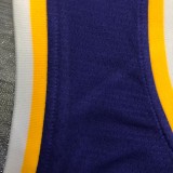 Los Angeles Lakers  purple 23 James  round neck  Flying Man Limited NBA Jerseys