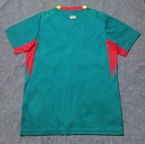 Senegal Home  Fans 1:1 Quality Soccer Jersey   26-27 (2026)