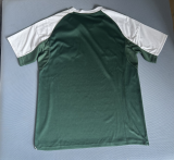 Panathinaikos Home Fans 1:1 Quality Soccer Jersey 25-26