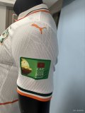 Ivory Coast Special Edition Player  1:1 Quality Soccer Jersey 26-27 (2026)
