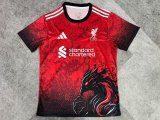 Liverpool Special Edition Fans 1:1 Quality Soccer Jersey   24-25