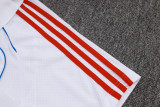 Bayern Munich Polo Fans  White 1:1 Quality Soccer Jersey  25-26