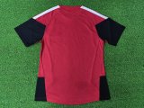 Germany Training Special Edition With Pants Set Player Red 1:1 Quality Soccer Jersey   26-27 (2026)