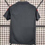 Internacional Polo fans 1:1 Quality Soccer Jersey   25-26