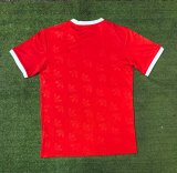 Bayern Munich Special Edition Fans 1:1 Quality Soccer Jersey   24-25