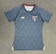 Sao Paulo Training Grey women fans 1:1 Quality Soccer Jersey 25-26