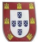 Benfica Training  Anniversary Edition  Fans 1:1 Quality Soccer Jersey 25-26