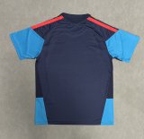 Spain Training Special Edition Player  1:1 Quality Soccer Jersey 26-27（2026）