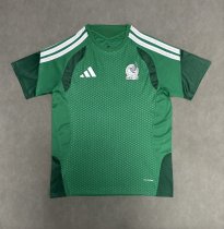 Mexico Training Special Edition Player 1:1 Quality Soccer Jersey   26-27 (2026)