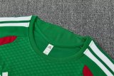 Algeria Training Green With Pants Sets (16-2XL) 1:1 Quality Soccer Jersey  26-27（2026）
