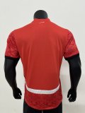Egypt home Player  1:1 Quality Soccer Jersey   25-26