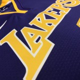 Los Angeles Lakers purple 6 James  V-neck   NBA Jerseys