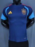 Spain Training Special Edition With Pants Sets Player 1:1 Quality Soccer Jersey 26-27（2026）