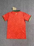 Portugal Special Edition  Fans 1:1 Quality Soccer Jersey  24-25