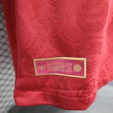 Bayern Munich new special player version 125 years football jersey 1:1 Quality Soccer Jersey   25-26
