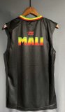 Mali Special Edition  vest   Fans  1:1 Quality Soccer Jersey   23-24