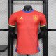 Spain Special Edition Player  1:1 Quality Soccer Jersey  24-25