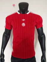 Bayern Munich  T-shirt Special Edition Player 1:1  25-26