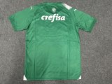 Palmeiras Special Edition  fans 1:1 Quality Soccer Jersey    24-25