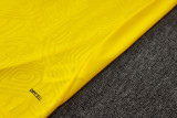 Dortmund  training  fans  1:1 Quality Soccer Jersey  24-25
