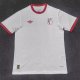 Benfica  Anniversary Edition  Fans 1:1 Quality Soccer Jersey 25-26