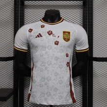 Spain Special Edition Player  1:1 Quality Soccer Jersey  24-25