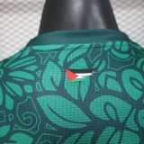 Palestine Green  Player 25-26  1:1 Quality Soccer Jersey
