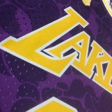 Los Angeles Lakers BAPE×M&N Purple #93  BAPE 1:1 Quality NBA  Season Jerseys