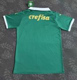 Palmeiras home fans 1:1   24-25