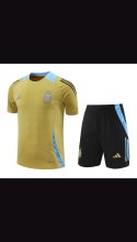 Argentina Training clothing set  1:1 Quality Soccer Jersey    24-25
