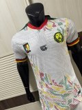 Cameroon Special Edition Player White 1:1 Quality Soccer Jersey  25-26