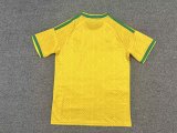 South Africa Home Fans 1:1 Quality Soccer Jersey 26-27 (2026)