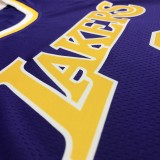 Los Angeles Lakers   purple 6 James  round neck  Flying Man Limited NBA Jerseys