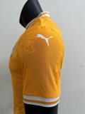 Cote dIvoire home player 1:1 Quality Soccer Jersey   25-26