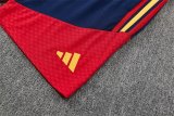 spain Training  Fans Kits White (Kids And Man 16-2XL) 1:1 Quality Soccer Jersey 26-27 (2026)