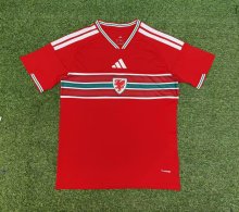 Wales  Home Fans 1:1 Quality Soccer Jersey  26-27 (2026)