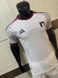 United Arab Emirates Home Player 1:1 Quality Soccer Jersey  26-27(2026)