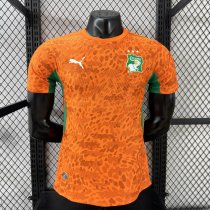 Ivory Coast Home Player  1:1 Quality Soccer Jersey 26-27 (2026)