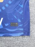 Pumas Away Fans 1:1 Quality Soccer Jersey  25-26