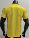 Retro Brazil Home  1991-1993