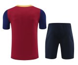 Barcelona Training clothing set 1:1 Quality Soccer Jersey    24-25